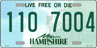 NH license plate 1107004