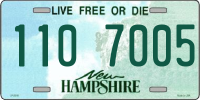 NH license plate 1107005
