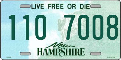 NH license plate 1107008