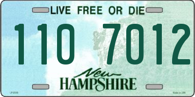 NH license plate 1107012