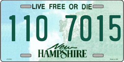 NH license plate 1107015
