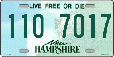 NH license plate 1107017