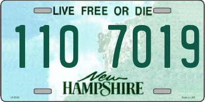 NH license plate 1107019