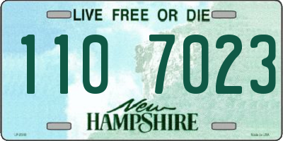 NH license plate 1107023