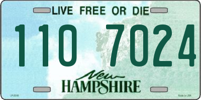 NH license plate 1107024