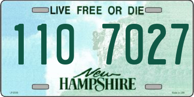 NH license plate 1107027