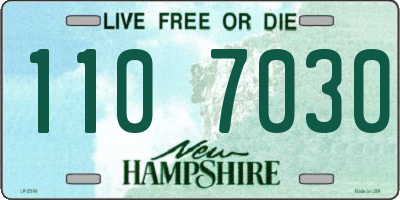 NH license plate 1107030