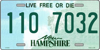 NH license plate 1107032