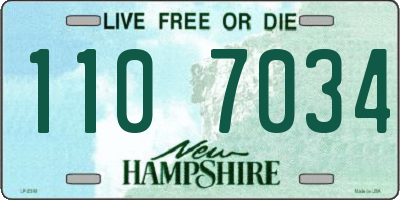 NH license plate 1107034
