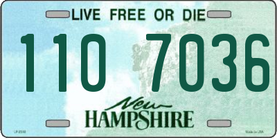 NH license plate 1107036