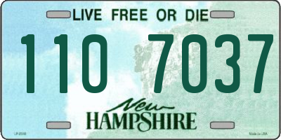 NH license plate 1107037