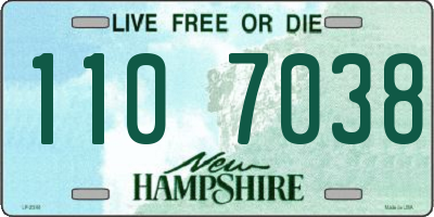 NH license plate 1107038