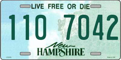 NH license plate 1107042