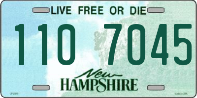 NH license plate 1107045