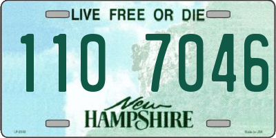 NH license plate 1107046
