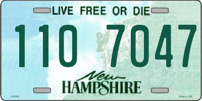 NH license plate 1107047
