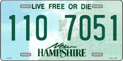 NH license plate 1107051