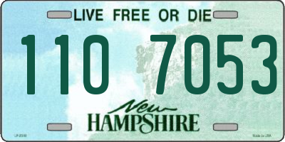 NH license plate 1107053