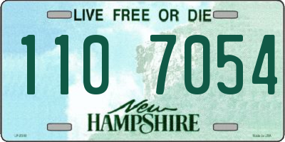 NH license plate 1107054
