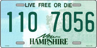 NH license plate 1107056