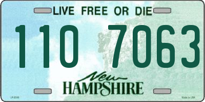 NH license plate 1107063