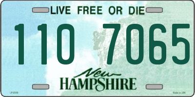 NH license plate 1107065