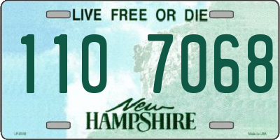 NH license plate 1107068