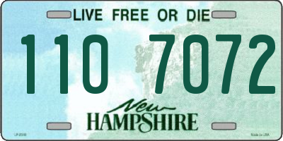 NH license plate 1107072