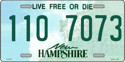 NH license plate 1107073
