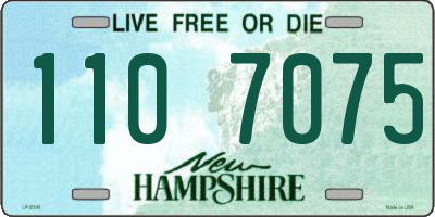 NH license plate 1107075