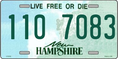 NH license plate 1107083