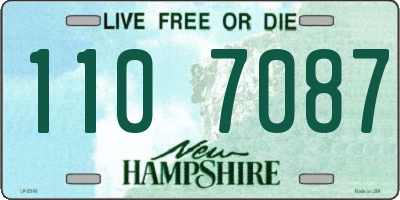 NH license plate 1107087