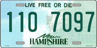 NH license plate 1107097