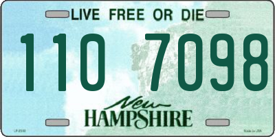 NH license plate 1107098