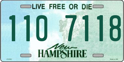 NH license plate 1107118