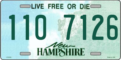 NH license plate 1107126