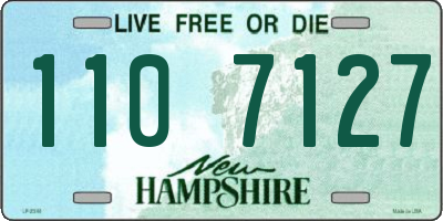 NH license plate 1107127