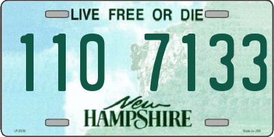 NH license plate 1107133