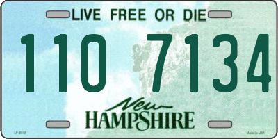 NH license plate 1107134