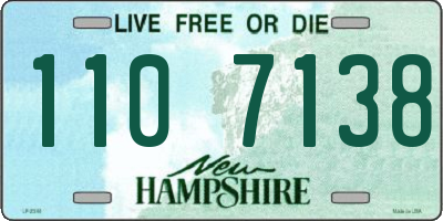NH license plate 1107138