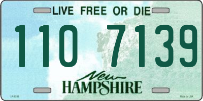 NH license plate 1107139
