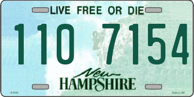 NH license plate 1107154