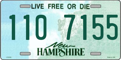 NH license plate 1107155