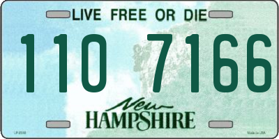 NH license plate 1107166
