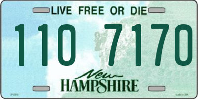 NH license plate 1107170
