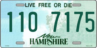 NH license plate 1107175