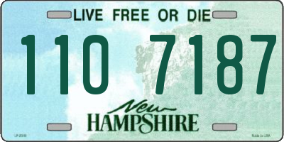 NH license plate 1107187