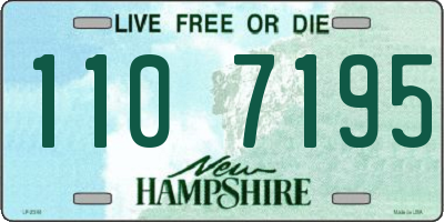 NH license plate 1107195