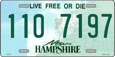 NH license plate 1107197