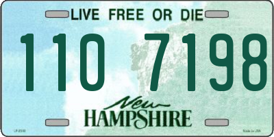 NH license plate 1107198